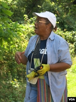 Clippers in hand, Forest Heights Mayor Jacqueline Goodall is on a tree-planting campaign to improve her town's health and welfare. (VOA/R. Skirble)