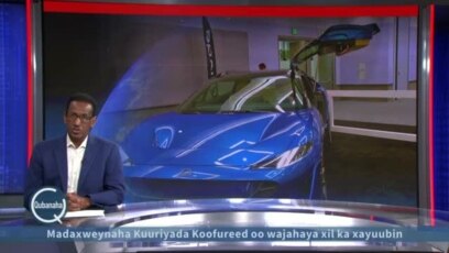 Shirkadaha baabuurta iyo rajada Elon Musk