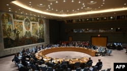 聯合國安理會討論非洲問題。(2020年2月26日)