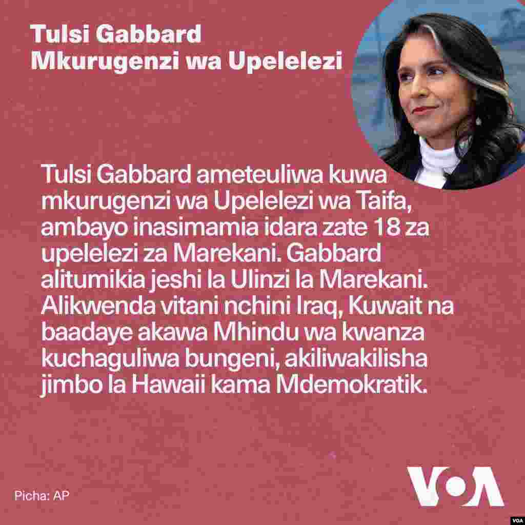 Tulsi Gabbard Mkurugenzi wa Upelelezi wa Taifa