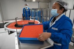 FILE - A worker feeds vials for production of SARS CoV-2 Vaccine for COVID-19 at the SinoVac vaccine factory in Beijing.