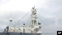 جاپان کی انٹارکٹکا میں وہیل مچھلی کے شکار کی تیاری