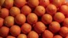 EU Pest Control Cuts South Africa Citrus