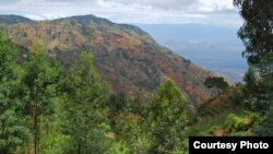 Using the briquettes instead of wood prevents deforestation – the effects of which are clearly visible in this photograph showing a hillside in Tanzania that’s been stripped almost bare of trees by wood collectors [Photo: Peter Stanley]