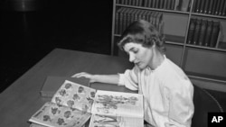 FILE - In an undated file photo, Ruth Parrington, librarian in the art department of the Chicago Public Library, studies early Sears Roebuck catalogs in the library's collection in Chicago.
