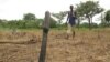 Development experts want more young Africans to have a stake in African agriculture like this young man in the Central African Republic. VOA/Nico Colombant