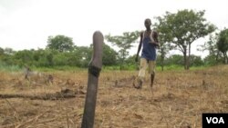 Development experts want more young Africans to have a stake in African agriculture like this young man in the Central African Republic. VOA/Nico Colombant