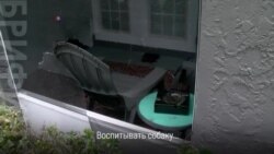 Солдат по имени Трейси, ее муж и собака