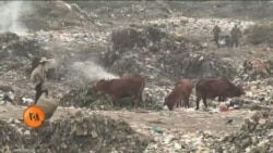 کراچی: 'فضائی آلودگی پیدائش سے قبل ہی بچوں کو متاثر کر رہی ہے'