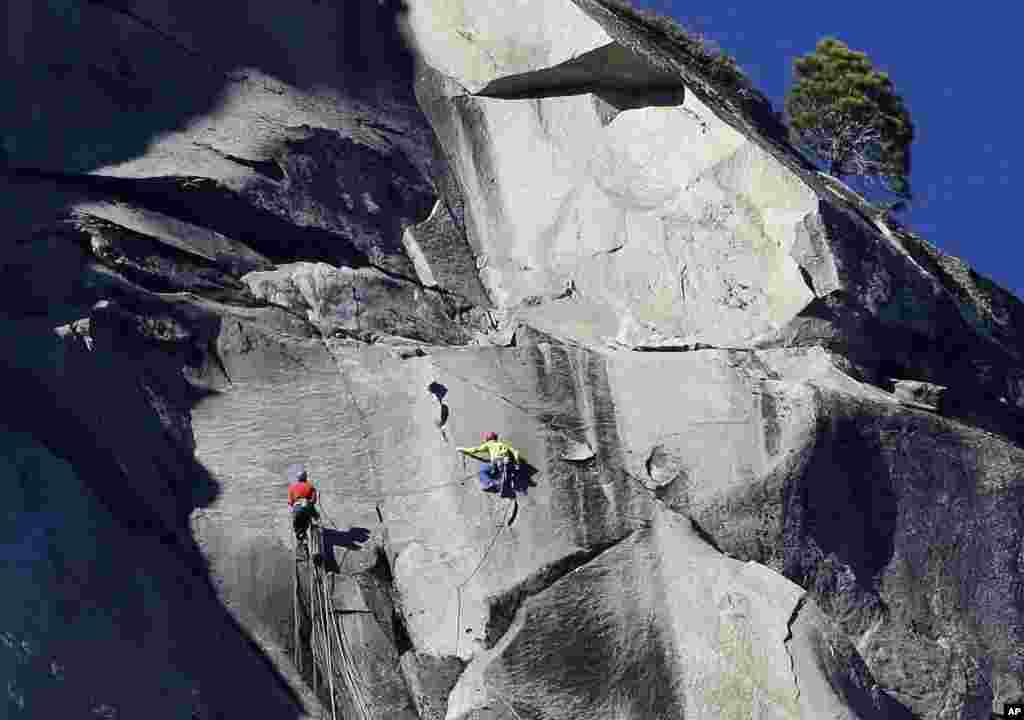 Kevin Jorgeson (kiri) and Tommy Caldwell mendaki El Capitan (14/1).