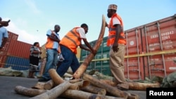 肯尼亞官員在蒙巴薩港拿獲三噸象牙.