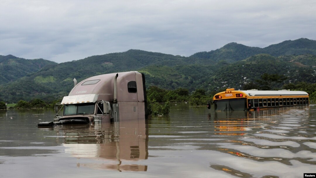 Un camión y un autobús escolar parcialmente sumergidos por las inuncaciones provocadas por la tormenta tropical Eta en Pimienta, Honduras, el 5 de noviembre de 2020.