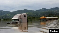 Un camión y un autobús escolar parcialmente sumergidos por las inuncaciones provocadas por la tormenta tropical Eta en Pimienta, Honduras, el 5 de noviembre de 2020.