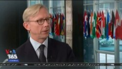 اخبار شامگاهی