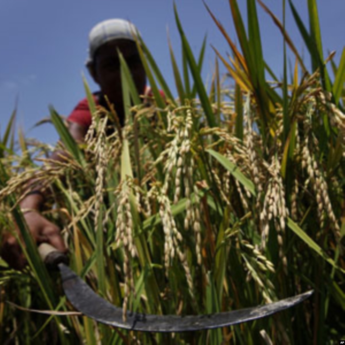 climate-change-threatens-world-food-production