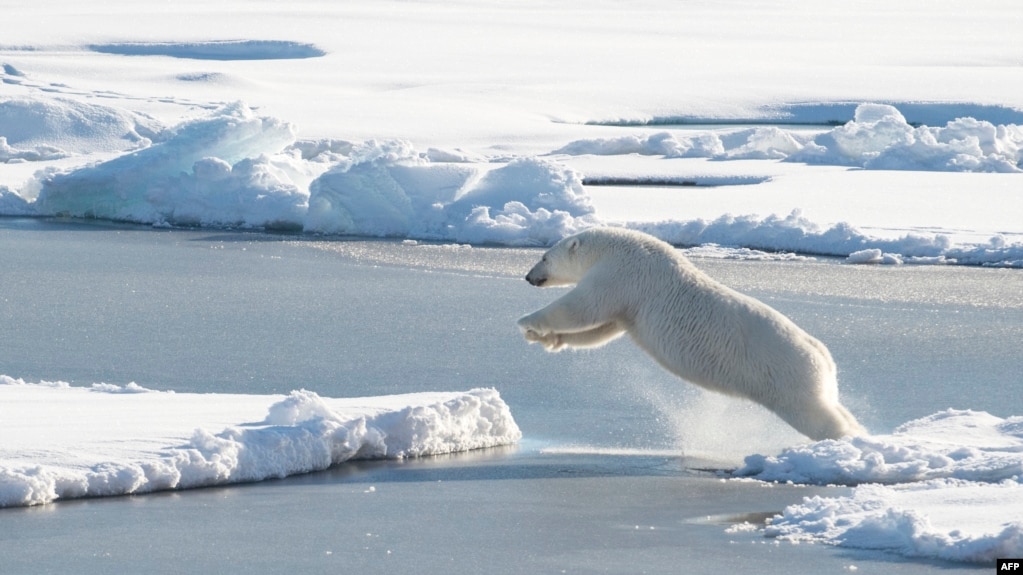 Resultado de imagen para humanos era hielo