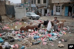 FILE - A girl scavenges at a garbage dump in a street in Sanaa, Yemen, July 26, 2017.