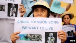 Một người phụ nữ cầm tấm bảng với nội dung "Chúng tôi muốn sống" trong cuộc biểu tình về vụ cá chết hàng loạt ở miền trung Việt Nam, ngày 1 tháng 5 năm 2016.