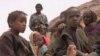 De Capua report on Sahel food crisis