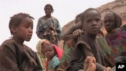 Conflict in Mali Aggravates Sahel Food Crisis