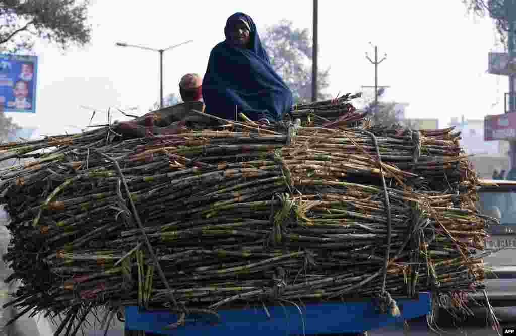 An Indian farmer sits atop bundles of sugarcane on a cart in Modinagar in Ghaziabad, some 45km east of New Delhi.