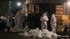 禽流感陰影籠罩，中國宰殺2萬隻雞