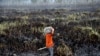 Kebakaran Hutan Indonesia Lahirkan Bencana Ekologis