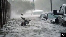 Florida ပြည်နယ်တွင် မုန်တိုင်း Sally ကြောင့် ရေကြီး