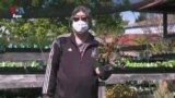 The Garden Treatment: Gardening Is Keeping Some People Sane During the Pandemic