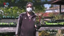 The Garden Treatment: Gardening Is Keeping Some People Sane During the Pandemic