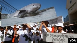 Cambodians rally to raise awareness about Irrawaddy Dolphin, a fresh water dolphin in Mekong River, in Kratie province on November 10th, 2015. (Nov Povleakhena/VOA Khmer)​