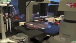 Ամերիկյան J&J ընկերության պատվաստանյութի շուրջ զարգացումներ