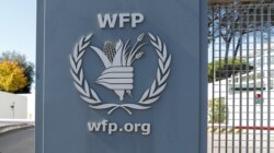 이탈리아 로마에 있는 WFP 본부 (자료사진)