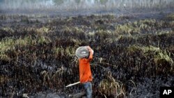 Seorang petugas bersiap memadamkan kebakaran hutan di Ogan Ilir, Sumatera Selatan (17/9). (AP/Tatan Syuflana)