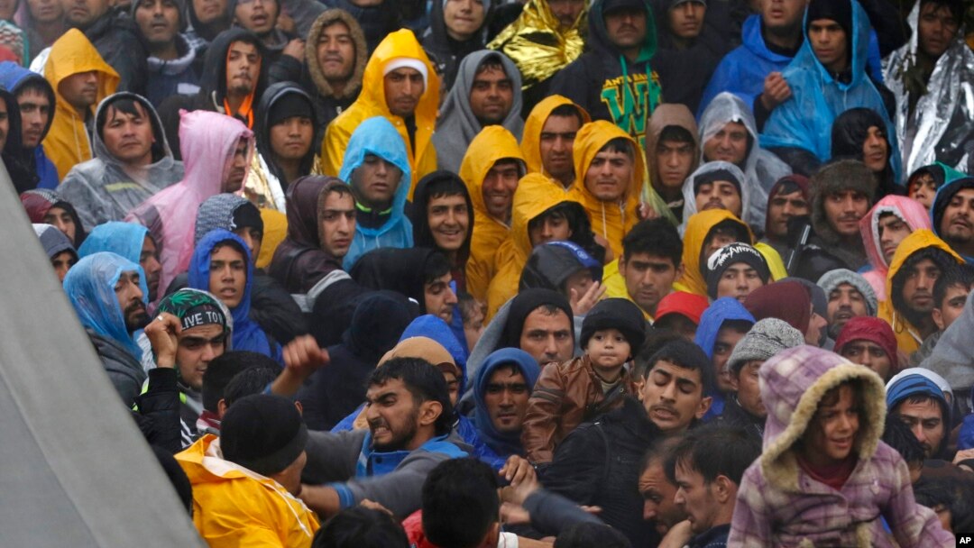 Migranti blizu granice Srbije i Hrvatske