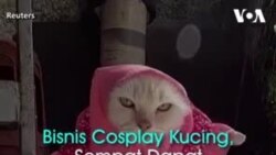Bikin Cosplay untuk Kucing, Sempat Dikritik Netizen