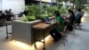 Small businesses take advantage of co-working spaces like this one, in Ho Chi Minh City, but many haven't taken steps to protect themselves online. (Photo: H. Nguyen / VOA)