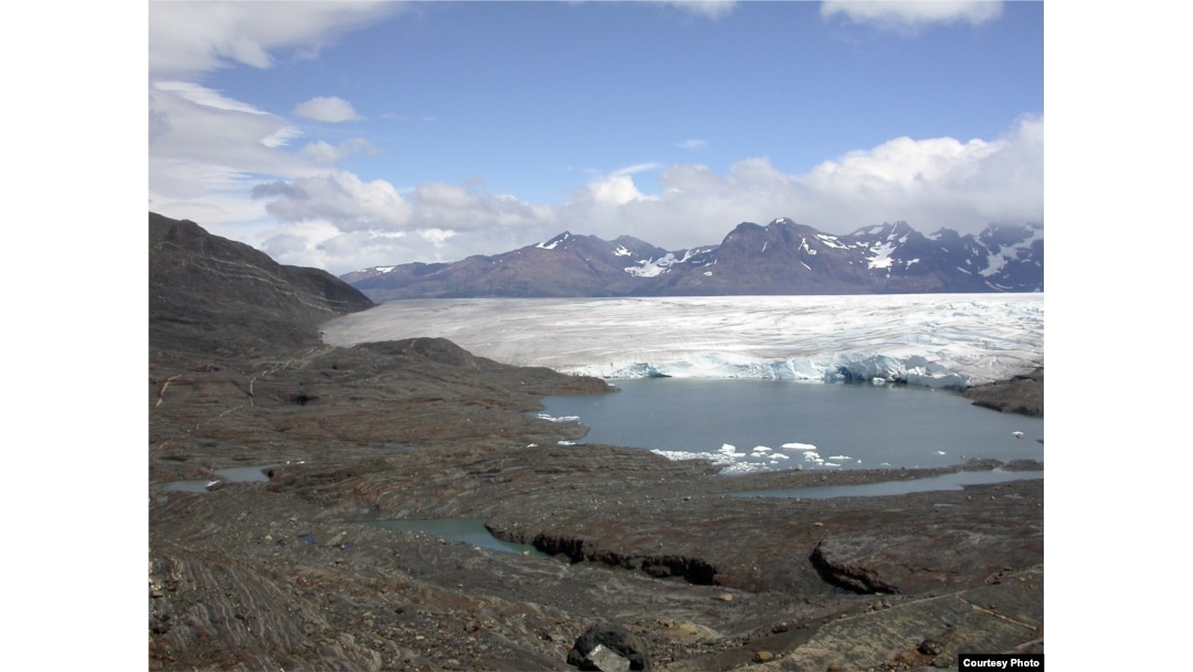 Layers of fossil deposits at the edge of the Tyndall glacier in southern Chile. (Credit: W. Stinnesbeck)