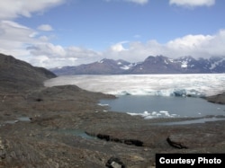 Layers of fossil deposits at the edge of the Tyndall glacier in southern Chile. (Credit: W. Stinnesbeck)