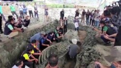 5,000-Year-Old Whale Unearthed in Thailand 