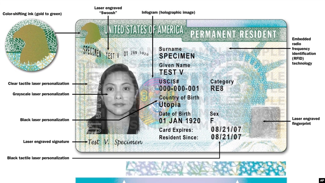 Green Card Registration 2024 Josy Riannon