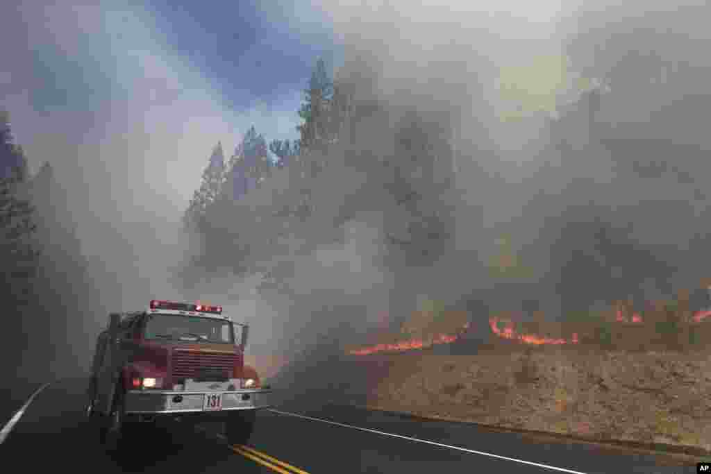 A fire truck drives past burning trees as firefighters continue to battle the Rim Fire near Yosemite National Park, California, August 26, 2013.