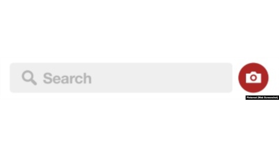Pinterest Search Bar Search Bar, Web Button 10982931 PNG