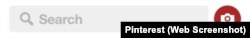 Pinterest Lens Search