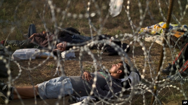 Refugiados afganos duermen al lado de un cerco de alambre de púa en el lado serbio de la frontera con Hungría, el jueves, 17 de septiembre de 2015.