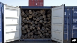 Shipment of suspected illegal Rosewood logs in the port of Vohemar, Madagascar
