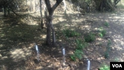 Some landmines marked on a patch of land in Zimbabwe's Mukumbura communal lands.