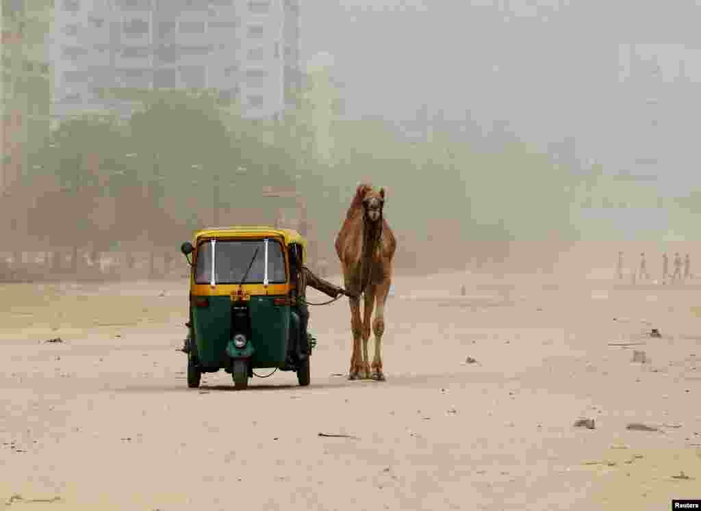 A man pulls his camel as he sits in an auto rickshaw during a dust storm in the western Indian city of Ahmedabad, India.