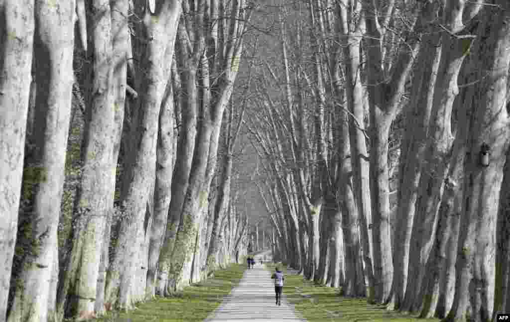 A runner makes his way through a park in Stuttgart, southern Germany.