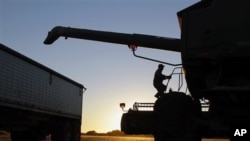 Central Illinois farmer Bob Hogan climbs back into his combine while harvesting soybeans in Pawnee, Illinois, October 7, 2010 (file photo)